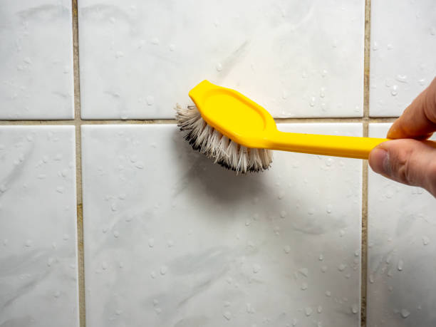 Best Professional Mold Removal  in Quail Ridge, FL